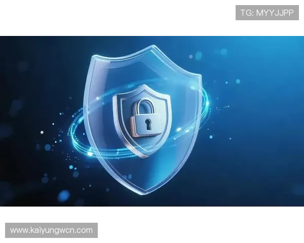 Kaiyun开云平台网页版安全性分析与数据保护措施，保障用户信息安全与隐私安全